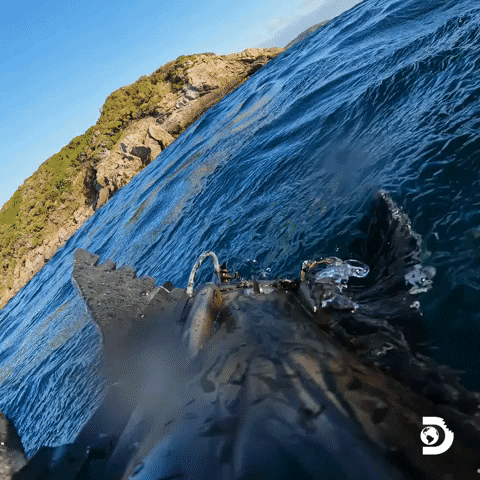 Upside Down Help GIF by Shark Week