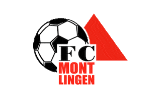 Soccer Rheintal Sticker by Sonnenbräu