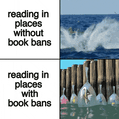 Reading in places with and without book bans motion meme