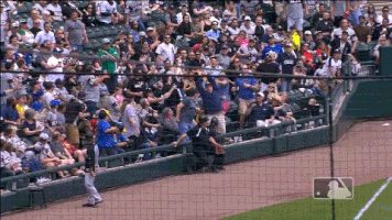 White Sox Baseball GIF