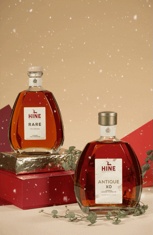 HineCognacs party christmas drinks cocktail GIF