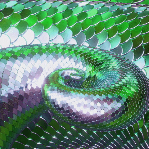 Snake Spiral GIF by Feliks Tomasz Konczakowski