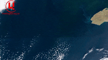 War GIF