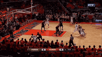 boiledsports  GIF