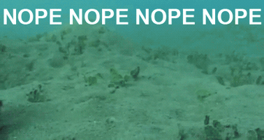 wesbaker nope GIF