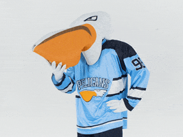 PelicansFi sports hockey mascot ice hockey GIF