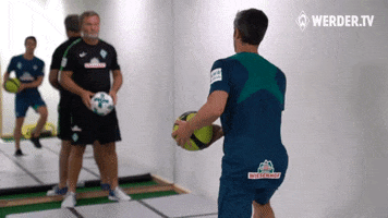 training physio GIF by SV Werder Bremen