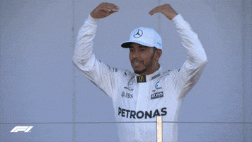 Lewis Hamilton F1 GIF by Formula 1