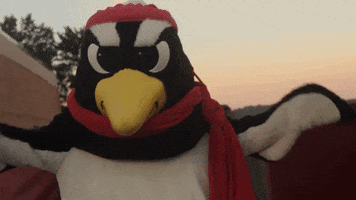 Football Mascot GIF by Youngstown State University