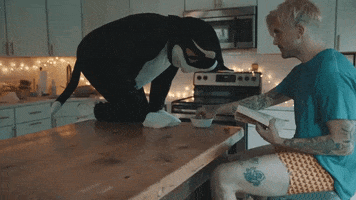 Cat Song GIF by Anthony Green