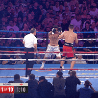 Right Hand Knockout GIF by Premier Boxing Champions