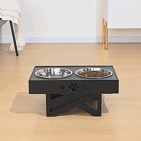 Dog Bowl GIF