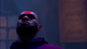 los angeles king GIF by NBA