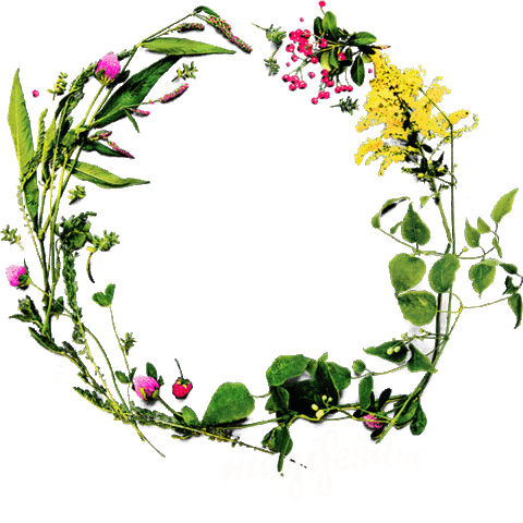 Magifešn Sticker