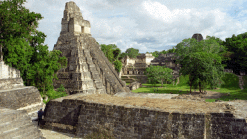 DataExport tikal parque tikal GIF