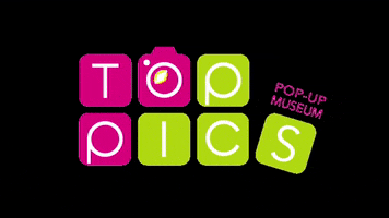 Toppics Pop-up Museum GIF