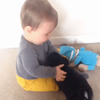 Pug Puppy Showers His Baby Playmate With Kisses