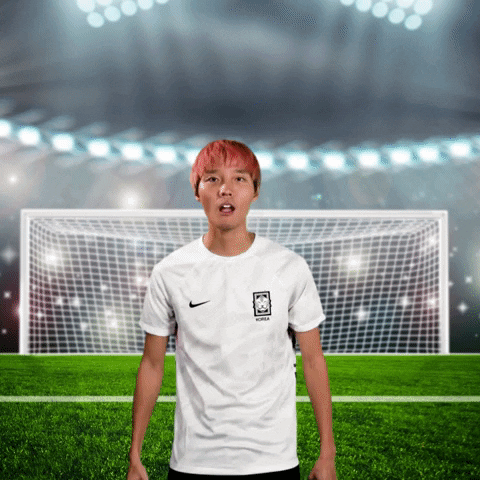 South Korea Futbol GIF by World Cup