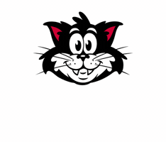 Black Cat GIF by Ted And Herb