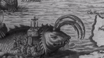 Long Island Whaling GIF