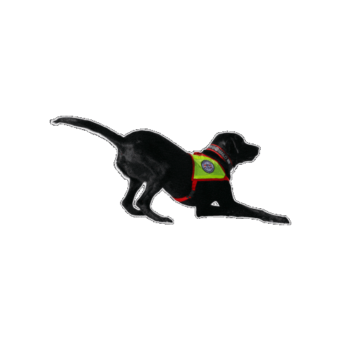 Rettungshund Sticker by Österreichische Rettungshundebrigade