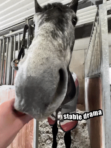 Look GIF