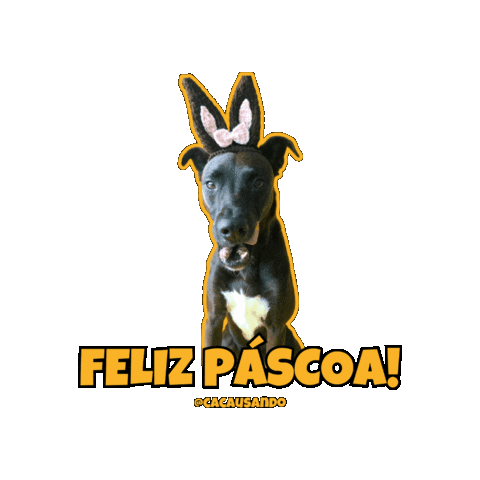 Easter Coelho Sticker