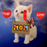 Love You Mom Gifs Get The Best Gif On Giphy Love You Mom Gifs Get The Best Gif On Giphy