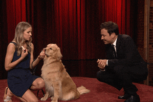 Tonight Show Dogs GIF by The Tonight Show Starring Jimmy Fallon