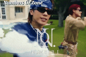 Numberi GIF