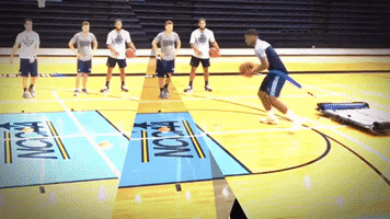 basketball dribble GIF by VertiMax