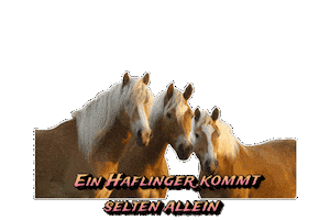 Pony Sticker by OHD
