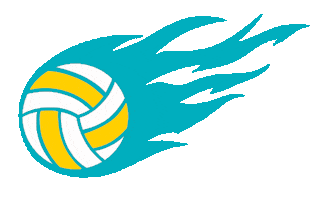 Sport Volleyball Sticker by TuiFR