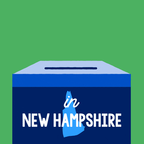 Voting New Hampshire