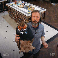 200.gif?cid=fc005b0820b1c3e3d7567d77b07ae5ba84ff1675c6590934&rid=200.gif&ct=g