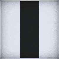 black and white loop GIF by Pi-Slices