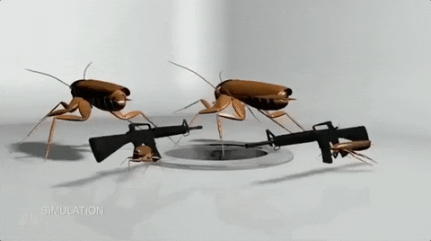 cockroach simulator