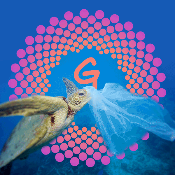 Plastic GIF Find & Share on GIPHY