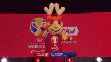 world cup GIF by FIBA