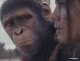 Planet Of The Apes Ape GIF