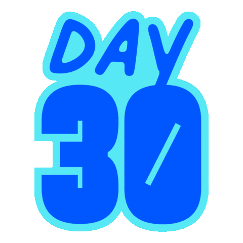 Surf Life Saving Foundation Sticker