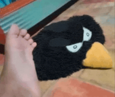 Angry Bird Foot GIF