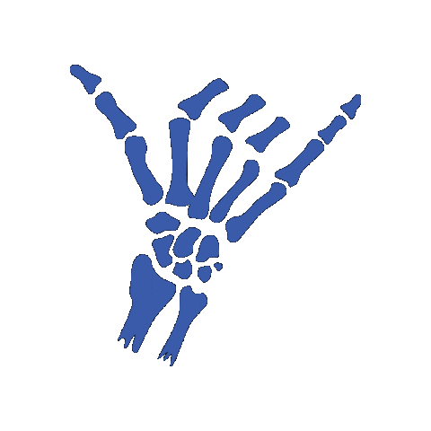 Zwolle Sticker by Marshlands Jiu Jitsu