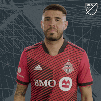 Brush Off Toronto Fc GIF by Major League Soccer