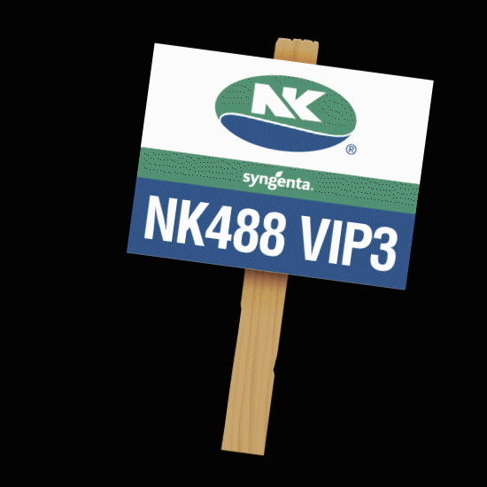 nkseedsbr milho rentabilidade sementesnk nk488vip3 GIF