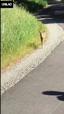 never mind abandon thread GIF