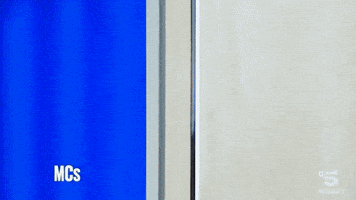 GIF by CALCIATORIBRUTTI