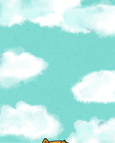 Flying New Mexico GIF