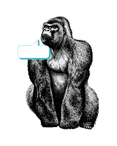 Beestig Jeugdwerk Gent Sticker