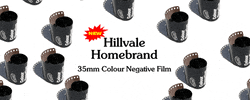 GIF by Hillvale